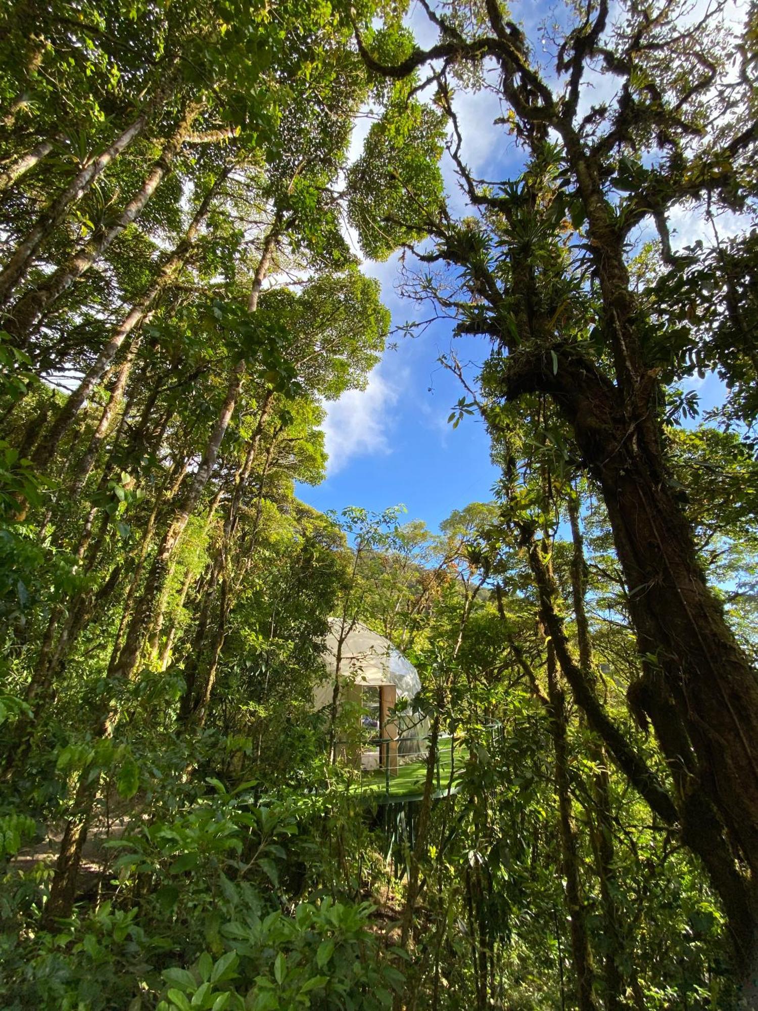 Hotel Way To Heaven Glamping Monteverde