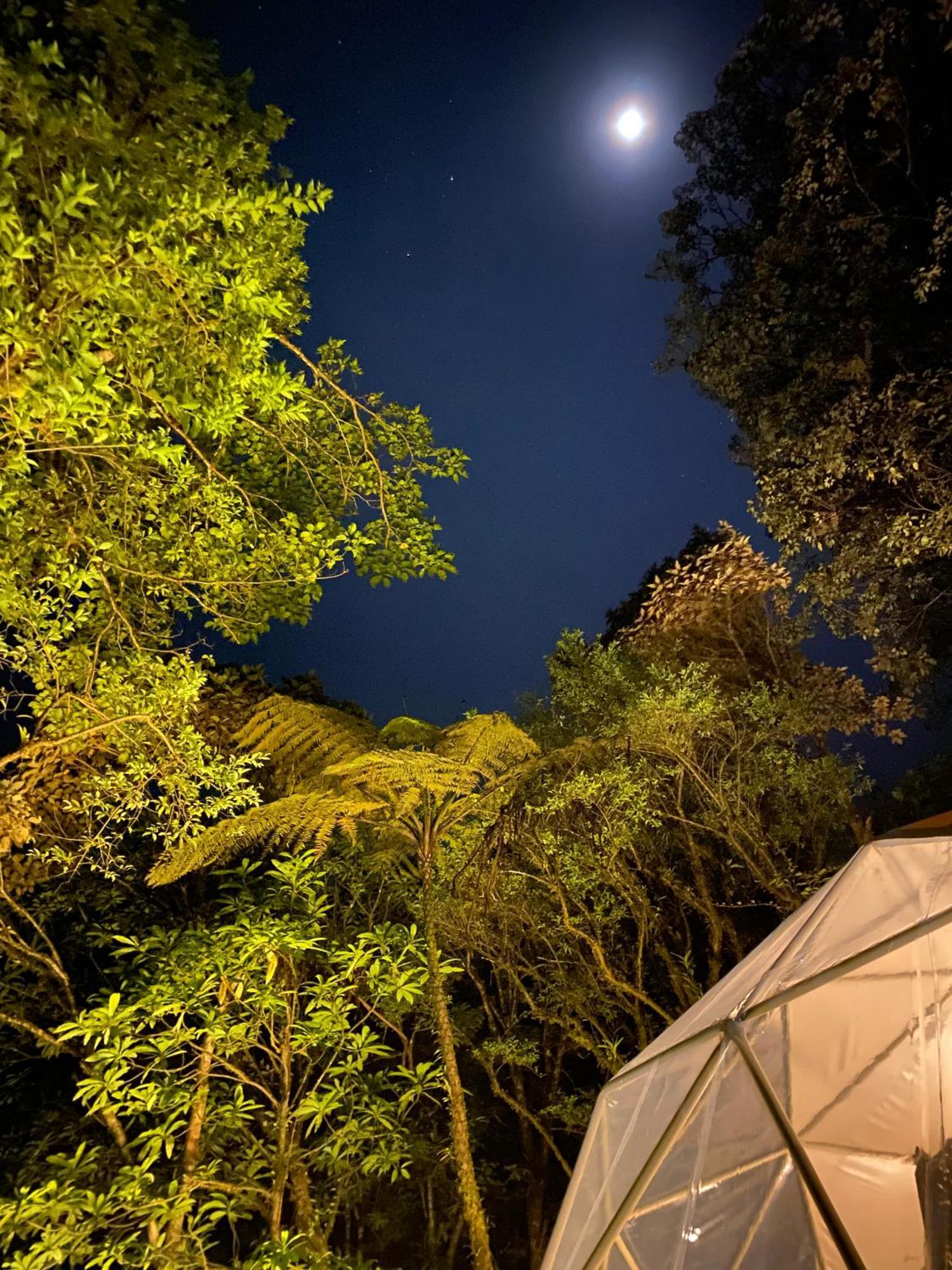 Hotel Way To Heaven Glamping